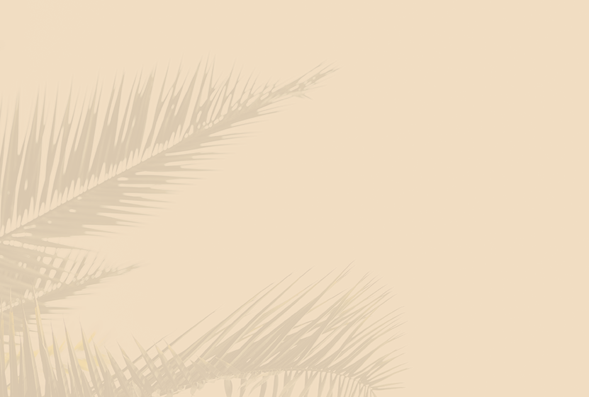 Palm tree leaf background graphic