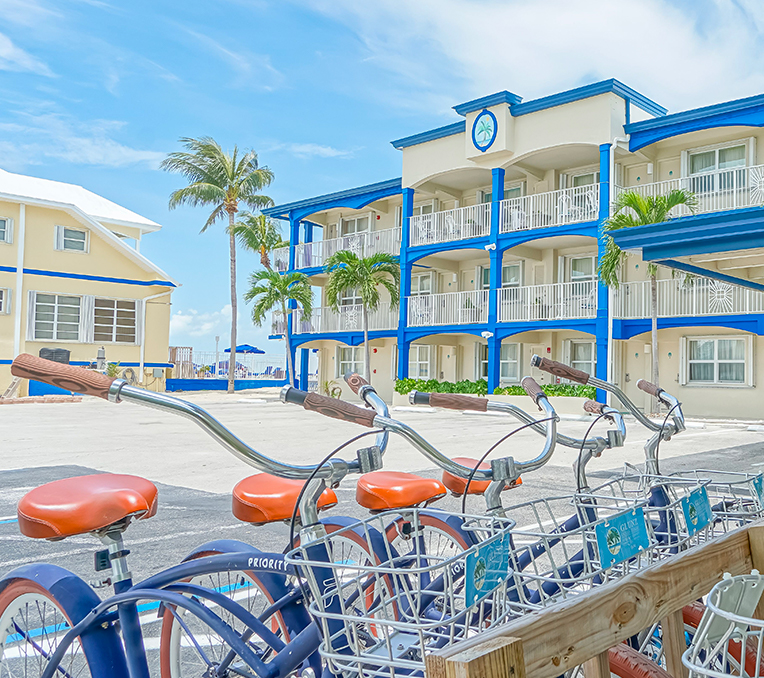 beach cruiser bicycles
