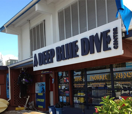 a deep blue dive