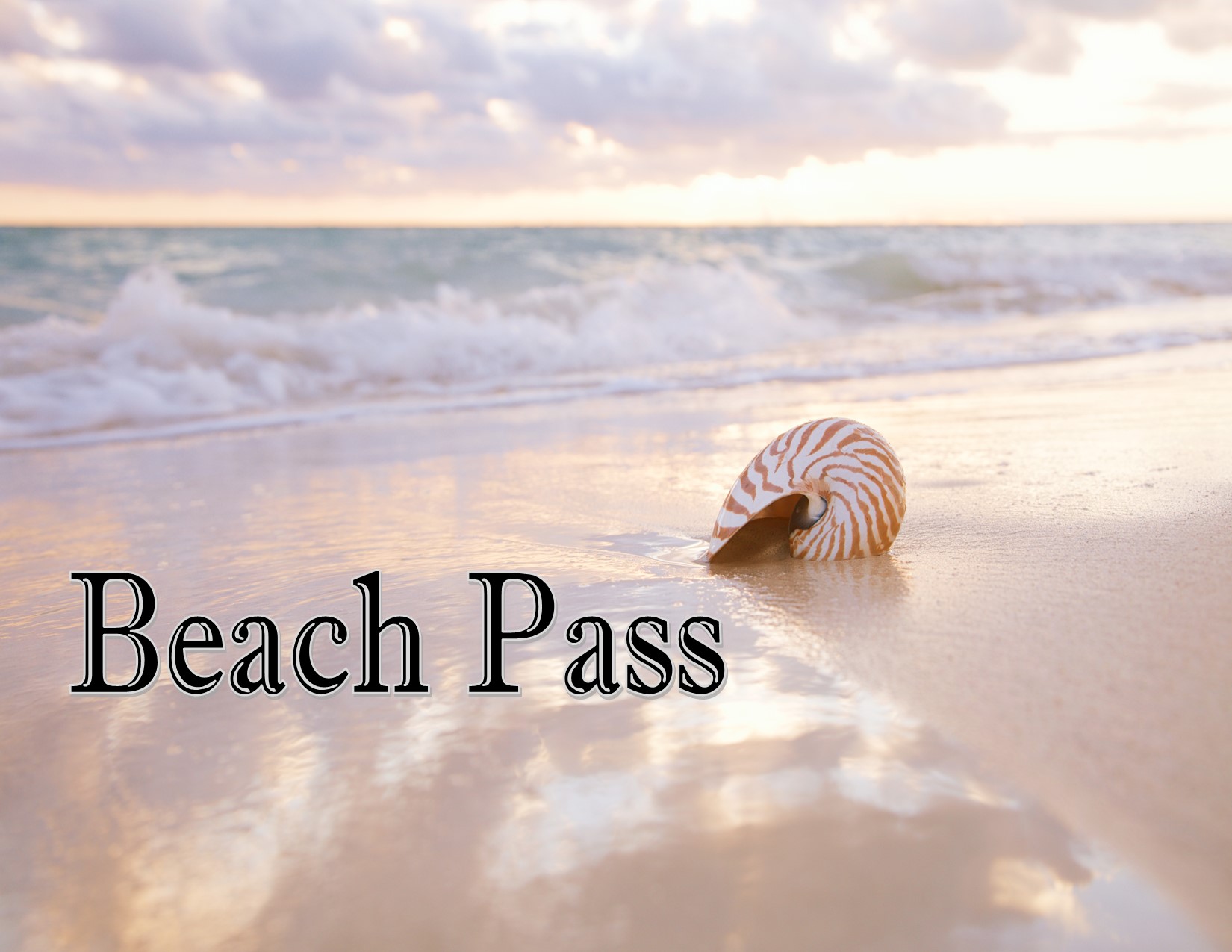 Day Beach Pass