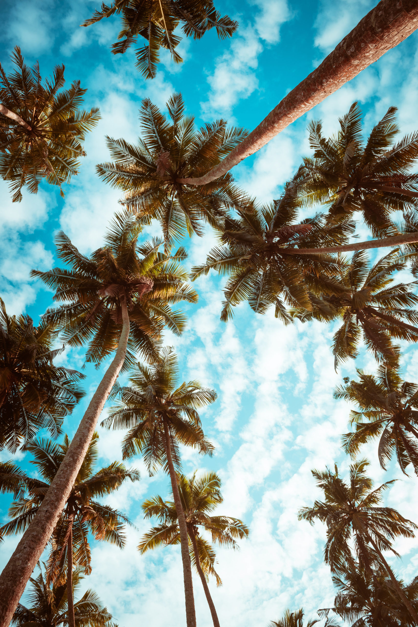 What Are the Names of the Florida Keys? Full Island Guide + FAQs